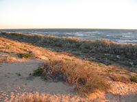 Beach at Point Quobba campsite